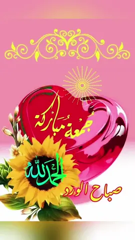 #jummah #jumma #jummha_mubarak #fyp #🤲🤲🕋🕋🤲🤲 #🇸🇴🇸🇴 #ameen #faafiwanaaga #alhamdulillah❤️ #islamic_video #muslim #foruyou #amiin 