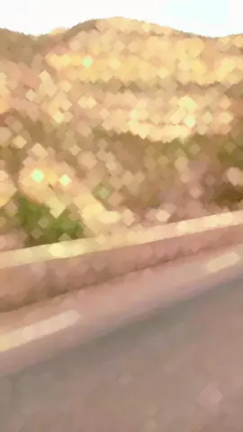 #ربي_يرحمك_يابابا_نشالله_فالجنة #بنتي_حبيبت_امها😻💕 #ربي_يرحمك_ميمتي_ويجعل_مثواكي_الجنة_يارب #الشعب_الصيني_ماله_حل😂😂 #الحمدلله_دائماً_وابداً💚🌧️🤲 