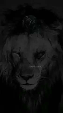 asmar / ألخال 