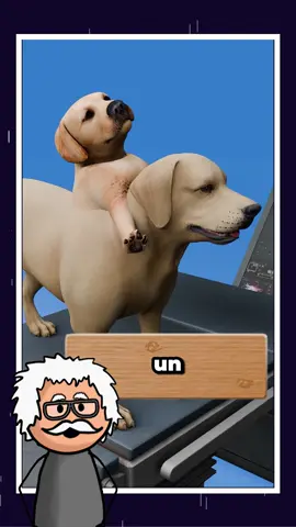 ¿Un perro con dos cabezas? El escalofriante experimento real que cambió la medicina para siempre 🧠🐶 #historiadesconocida   #cienciaextraña   #perrosdoblecabeza   #datoimpactante   #tiktokincreíble   #cosasqueexisten   #curiosidadesdelmundo   #mentemisteriosa   #datosreales   #documentalbreve   #historiacuriosa   #científicoslocos   #transplantes   #medicinahistórica   #tiktokciencia   #mentecuriosa   #sovietscience   #hechosincreibles   #datosperturbadores   #cosasquequizásnotsabías   #tiktokespañol   #descubrimientoreal   #hechosimpactantes   #rarefacts   #viralhistorias   #insólito   #contenidoeducativo   #SabiasQue   #datochocante   #dogexperiment   #medicinayciencia   #rusia1954   #viral2025