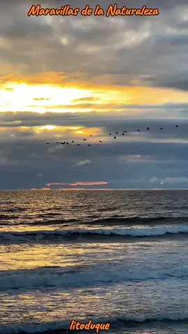 Bellas Puestas de SoL #naturaleza #paisajes #atardecer #romantic #fypシ゚ 