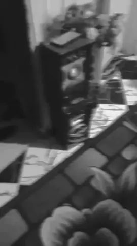 ده فرحنا مولع نار 🥹👰