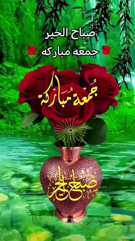 #اللهم_امين_يارب_العالمين #جمعه_مباركه_للجميع #🌹🌹🌹 #🌹🌹 #🌹🌹🌹 #🌹🌹 #🌹🌹🌹 