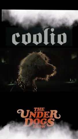 #dogs #puppet #dogsoftiktok #foryou #fyp #theunderdogsshow #duet #coolio #brisbane #toowoomba 
