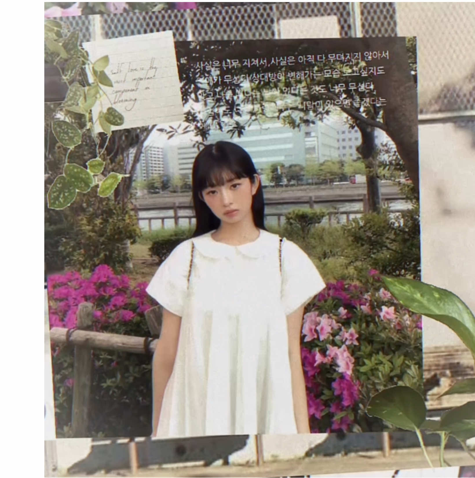 #REI : alight motions ego is so high like who do you think you are crashing my whole device every 2 minutes 🙄 anywayss sorry for the low quality idk what happened  #fyp #foryoupage #edit #alightmotion #kpop #ive #dontletthisflop #delicateddaze 