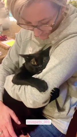 #cats #cutecats #foryou #funnytiktok #funnyvideos #usa #funnyanimals #fypシ #cute #funnycat #catlover #funnypets #viral #funny 