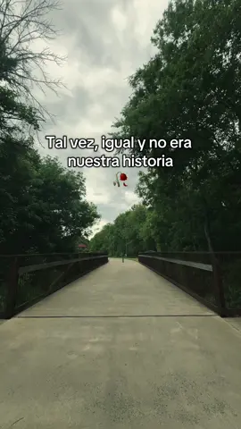 Si me hubieras oído- Banda MS #simehubierasoido #bandams #talvezenotravida #charlottenc #carolinadelnorte #letrasdecanciones 