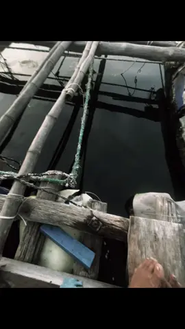 現在對我來說一切都只是黑白的 “mọi thứ đối với tôi lúc này chỉ một màu đen trắng”.! #trạmcảmxúc 