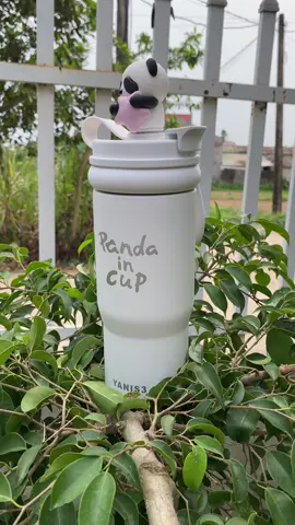 Bình Giữ Nhiệt Panda Dung Tích 1Lít Innox 316 Không Rỉ Giữ Nhiệt 24H#xuhuong #thinhhanh #giadungtienich 