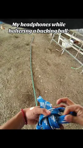 When the music doesn’t match the job 😅 #buckingbulls #bluestrips 