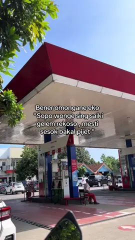 Bolone eko 🗿