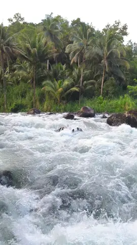 Kalo menurutku sih ini Terrr wut wut untuk hari kemarin... info debit 20-24 kubik per detik.hampir full extrime... silahkan yg mau terrr wut wut bisa datang langsung ke @River Tubing Sendangdalem  atau hubungi no yg ada di BiO.... #fy #fypage #liburan #tubing #arungjeram #masukberanda #masukberandafyp #fyppppppppppppppppppppppp 