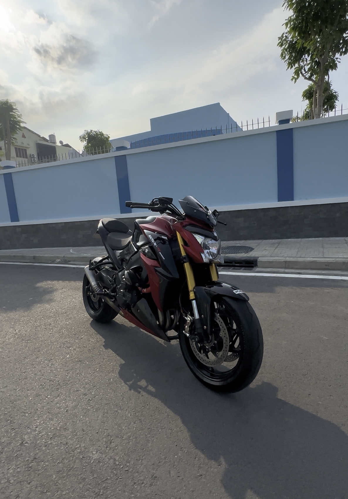 SUZUKI GSX-S1000 2018