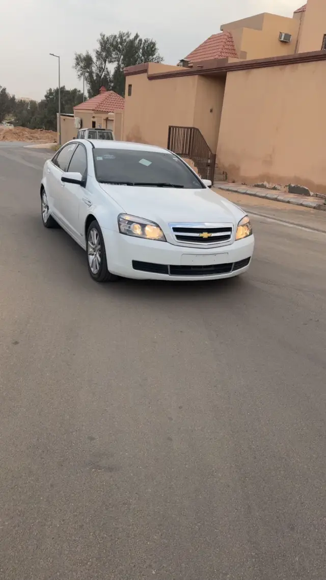 #القصيم #بريده #الدم #الجيب #كباس 