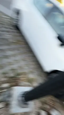 Gracias Don Chava por existir en esta escacez de buenos tacos en la Riviera Maya 🥹 #dondeirplayadelcarmen #tacos #TacosDonChava #playadelcarmen #tulum 