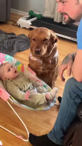 The precious bond between a child and a dog 🥰🥹❤️#dog #Love #baby #cute 