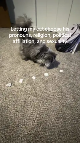 He was a bit indescisive