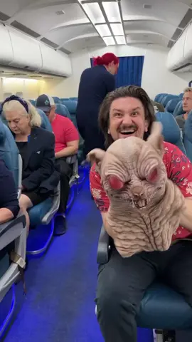 Flight attendant screams at 10,000ft#مسلسلات_سوريه_دراما #جهاد_الشمري💙 #مسلسلات_سوريه #مسلسلات_ 