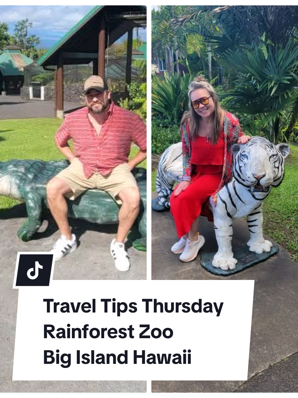 We went here in January and this was such a cute lil zoo to stop at on the Big Island! #zoo  #rainforestzoo #talkingbirds #funnyanimals #bigisland #traveltok #traveldestinations #placestogo #PlacesToVisit #bucketlist #hawaii #hawaiitiktok #aloha 