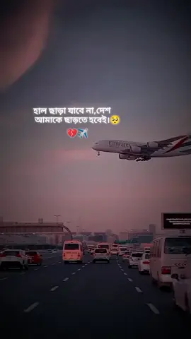 🤣🤣🤣হাল ছাড়া যাবে না দেশ আমাকে ছাড়তে হবেই🤣🤣🤣