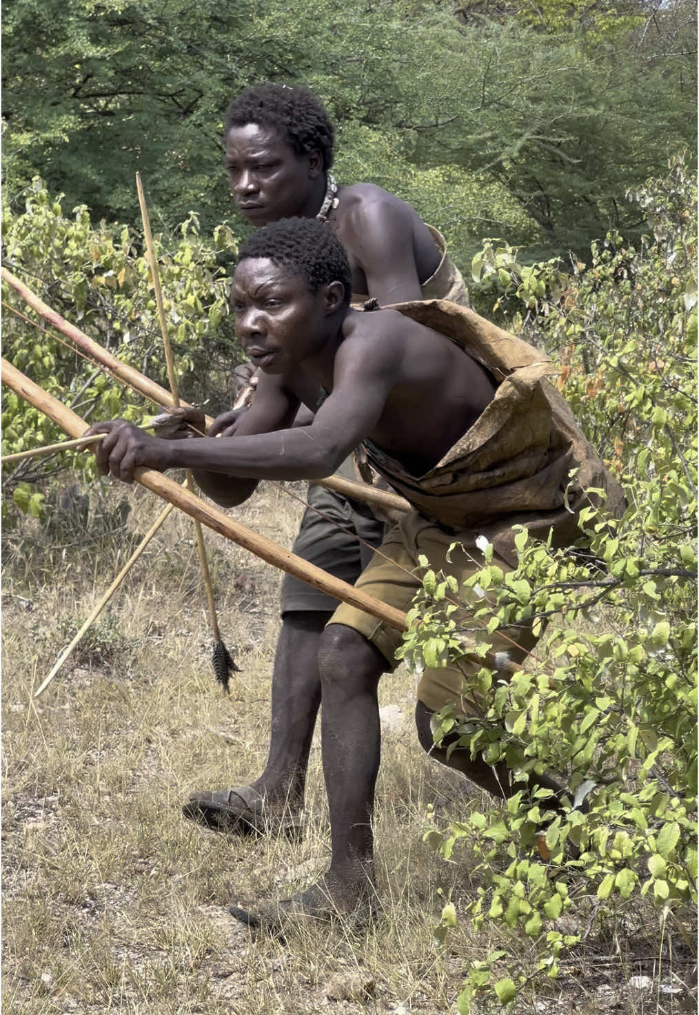 Chaaba & Dudukwe Show Off Crazy Hunting Skills! 🏹🔥 #hadzabe #triballife