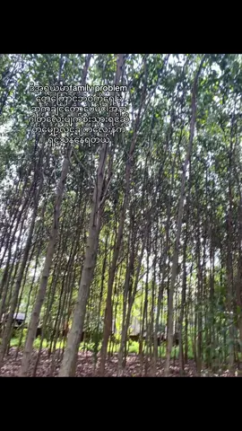 ဒီလိုပါဘဲမိဘတေကအပြင်ပန်းသာကောင်းပေးထာ