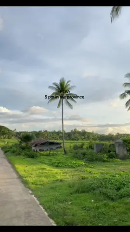 POV: 5pm in the province 🌱