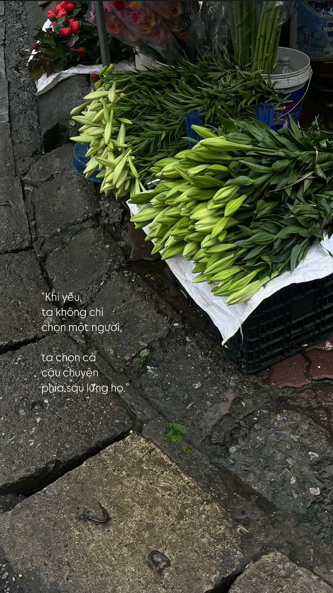 #Love #tamtrang #photography #viral #fyp 