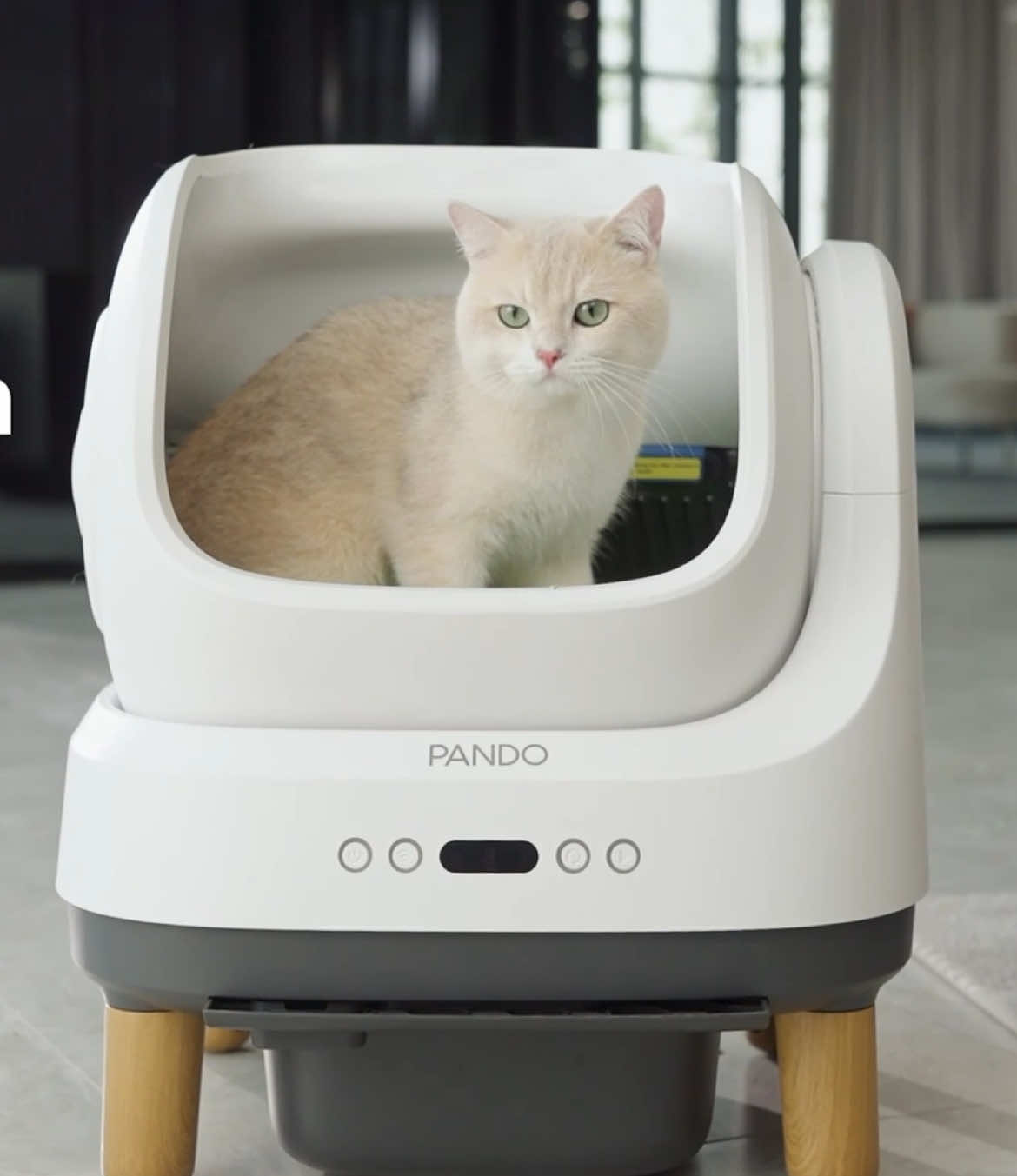 #ห้องน้ำอัตโนมัติ รุ่น 4 ใหม่ล่าสุดจาก PANDO ดีไซน์ฝาเปิดด้านบน น้องแมวนั่งสบาย ไม่อึดอัด #PandoBrand #yourpetwecare #ห้องน้ำแมวอัตโนมัติ  #สวนสัตว์Tiktok[รูปภาพ]