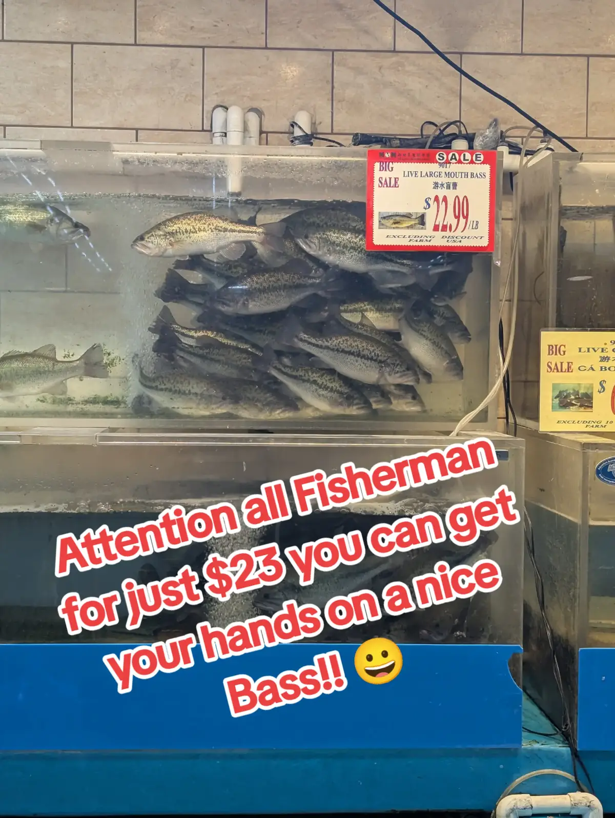 Asian market never disappoints witheir fresh selection of fish and seafood.