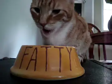 If the shoe fits...