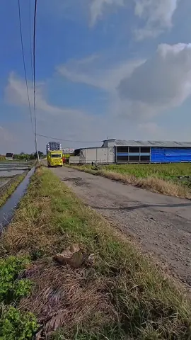 inpo serangan es teh🥵 #trukmaniaindonesia #fyp #cctv_truck_indonesia #pemalang24jam #bandargurem 