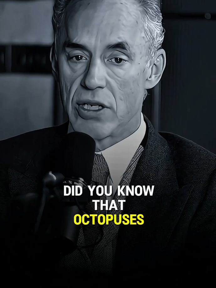 Todays best motivational story🎤🎤 Jordan peterson advice ❤️🌱 #motivation #inspiration #quito #jordanpeterson 