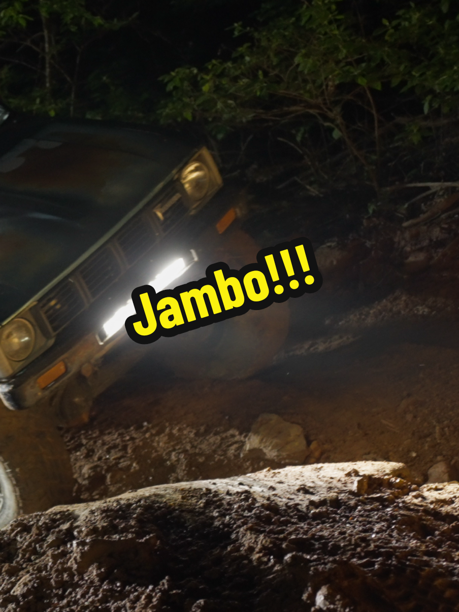 night wheeling with old blue!!! #toyotahilux #tandemoffroad #offroad #toyota #toyotajamboree 