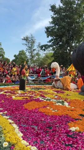 Happy boat festival 🌸❤️SriSri RadhaGovindaHari 🙇‍♀️#kripa #harekrishna #fyp #iskcontemple #creatorsearchinsights #shorts 
