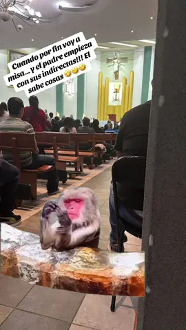 #Meme #MemeCut 