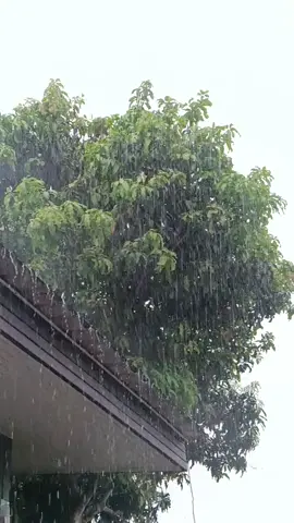 ไม่ดีไม่ต้องจำ♥️ #จันทบุรีฝนตกแล้วน้าาา😊♥️💦🌧️🌧️🌧️ 