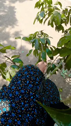#viralvideo #foryoupage 😝😝মনে করেন ভাই সবই কপাল