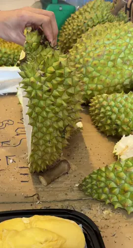 Khui sầu riêng mà cứ trùi ơi trùi ơi 😅😅#saurieng #saurienglongkhanh #nhiemtu #sendalongkhanh 