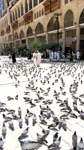 Masjid Al haram #jummahmubarak  #haramain #hajj2025 #makkahlive #baitullah #beautifulview #foryoupage 