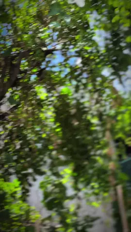 Lễ ko đi chơi ở nhà múa lửa 😹#xuhuongtiktok #xuhuong #rs150rvietnam🇻🇳 #winnerxv2dokieng 