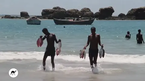 Jaalahu madaxweyne kaliye ma ahyn wuxuu ahaa dhiiri galiyaha shacabka #jaalemaxamedsiyaadbare #somaliarchive #1976 #keydkataariikhdasoomaaliya 