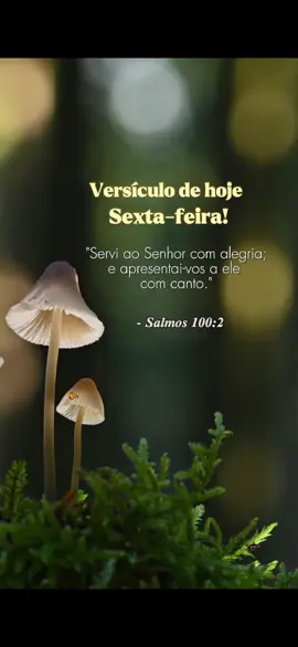 #versiculobiblico  #hinosgospel  #louvorgospel  #cristãonotiktok  #evangelico  #statusgospel 