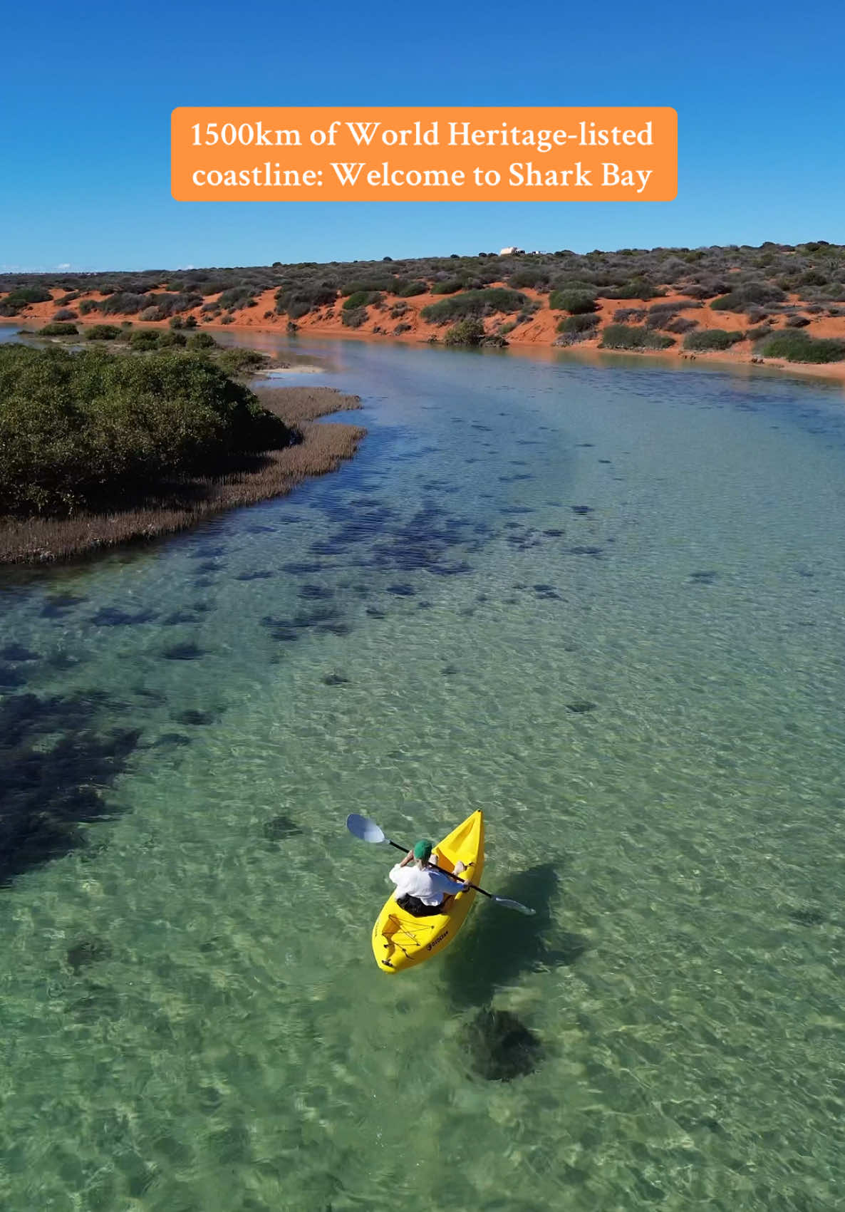 Recently dubbed one of our best beaches, Shark Bay's Little Lagoon is truly unmatched 🧡 The clear, sheltered waters of the lagoon and bay beyond are home to an abundance of rare plant, bird and marine life. Stay in nearby Denham and try your luck at spotting some of the area's most treasured flora and fauna - think dugongs, dolphins, shore birds and wildflowers. 🎥: @Perth is OK! and IG/sophieleeferguson 📍: Little Lagoon, Shark Bay World Heritage Area, @Australia’s Coral Coast, @Western Australia  #SeeAustralia #ComeAndSayGday #WATheDreamState #AustraliasCoralCoast ID: A series of videos show two people kayaking on a calm lagoon leading to a large, curved bay surrounded by orange sand and bushland.