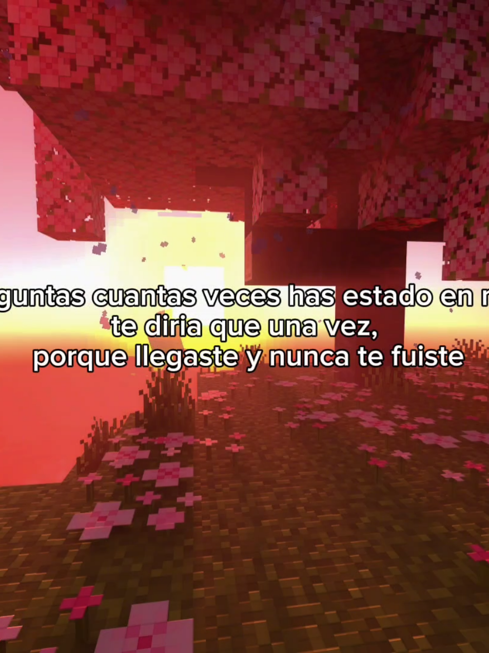 #minec #Minecraft #minecraftlluvia #minecraftbuilding #poemas #mine #romantico #romance #poemasdeamor #poemascortos #poemasparadedicar #palabrasbonitas #pareja #cariño #Amor #dedicar #paradedicar #fyp #fypp #relaxing 