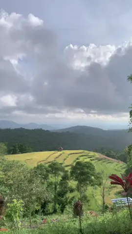 Yg mau samaan tas yang aku pake ada di sini 🤭🫣 #moonbags #fypage 