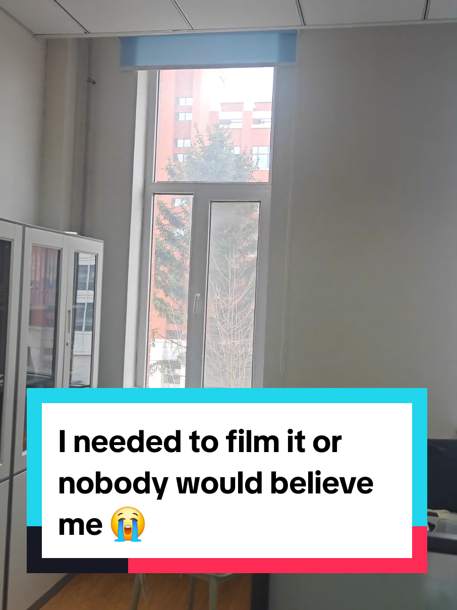 I needed to film it or nobody would believe me 😭 #tree 