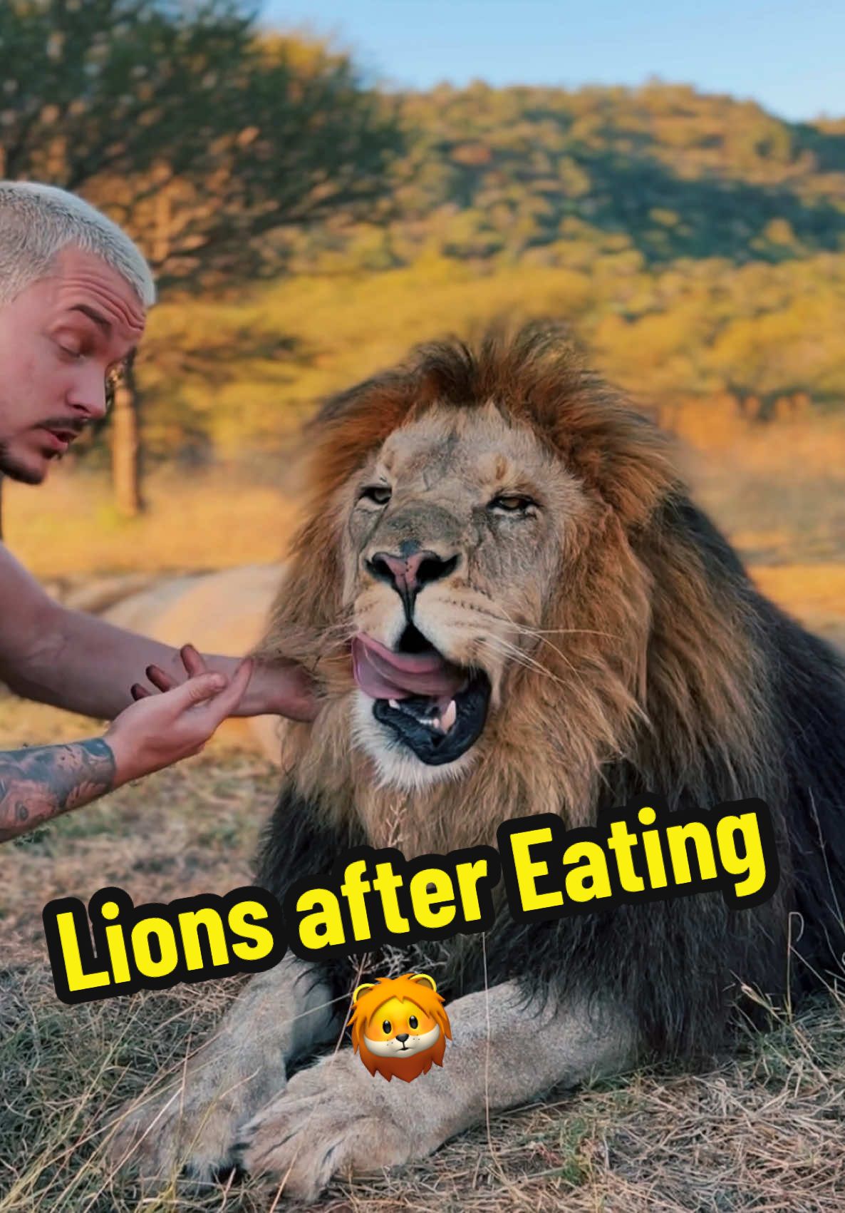 What are you doing after eating?🤔