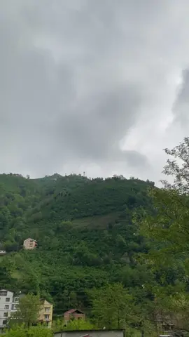 Ben sana gönül vermem sen unutursun çabuk #öneçıkart #karadeniz #dogankent #giresun28 #tirebolu #karadenizhuzur💚 #yeşilağaçlar #ilkbahar #oyoysevdugum #koliva 