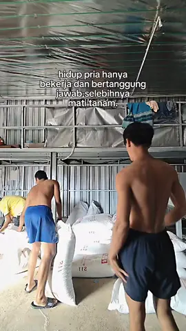 💪#kandangclosehouse #broiler #broilerchicken #fyp #fypage  #abk #pejuangfcr #pejuangrupiah 